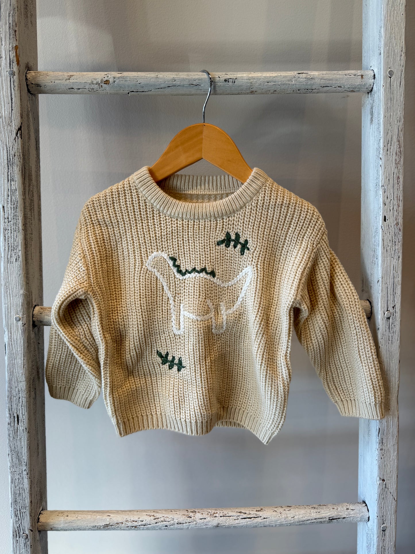 Dinosaur Embroidered Toddler Sweater