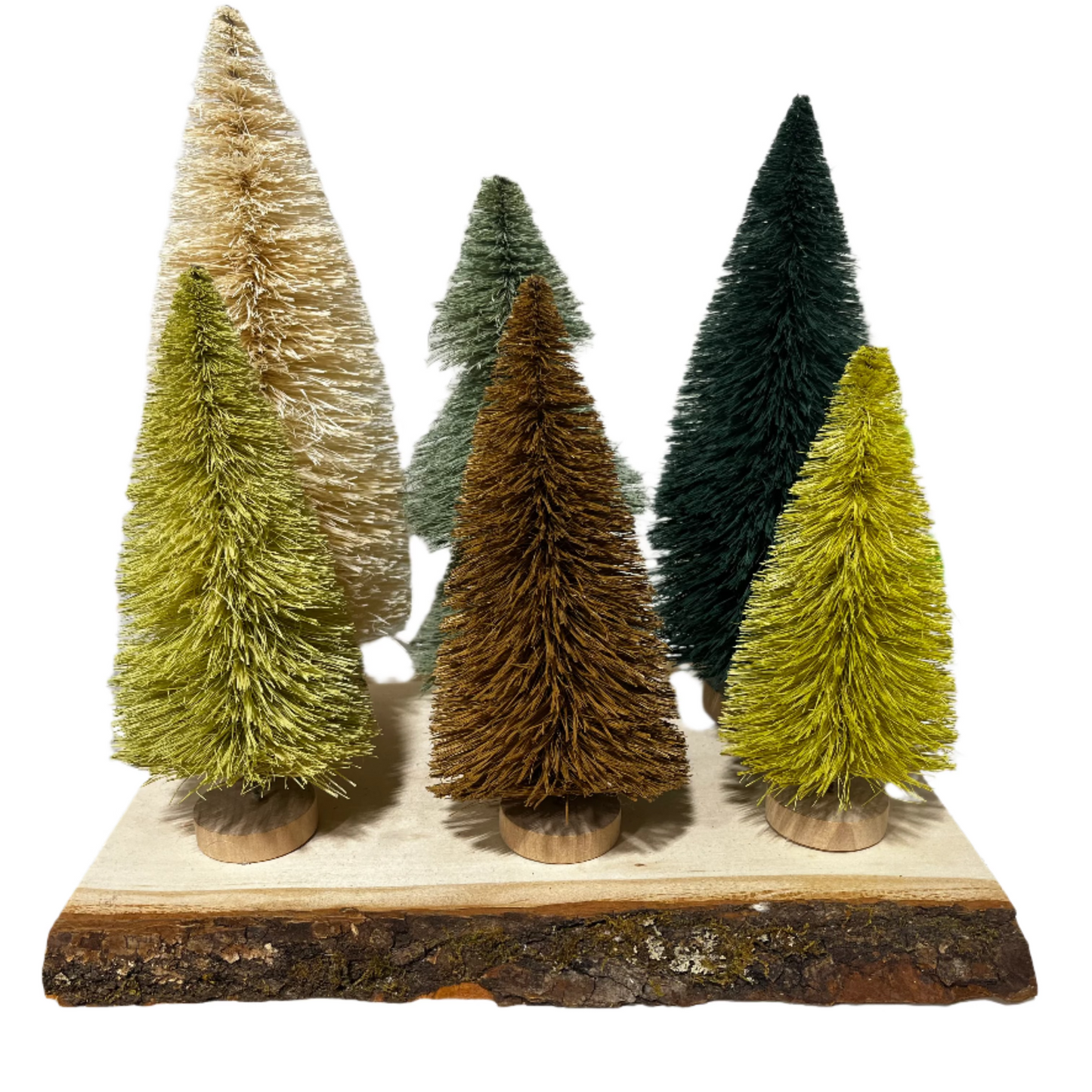 Sisal Bottle Brush Trees w/ Wood Bases, Boxed Set of 6