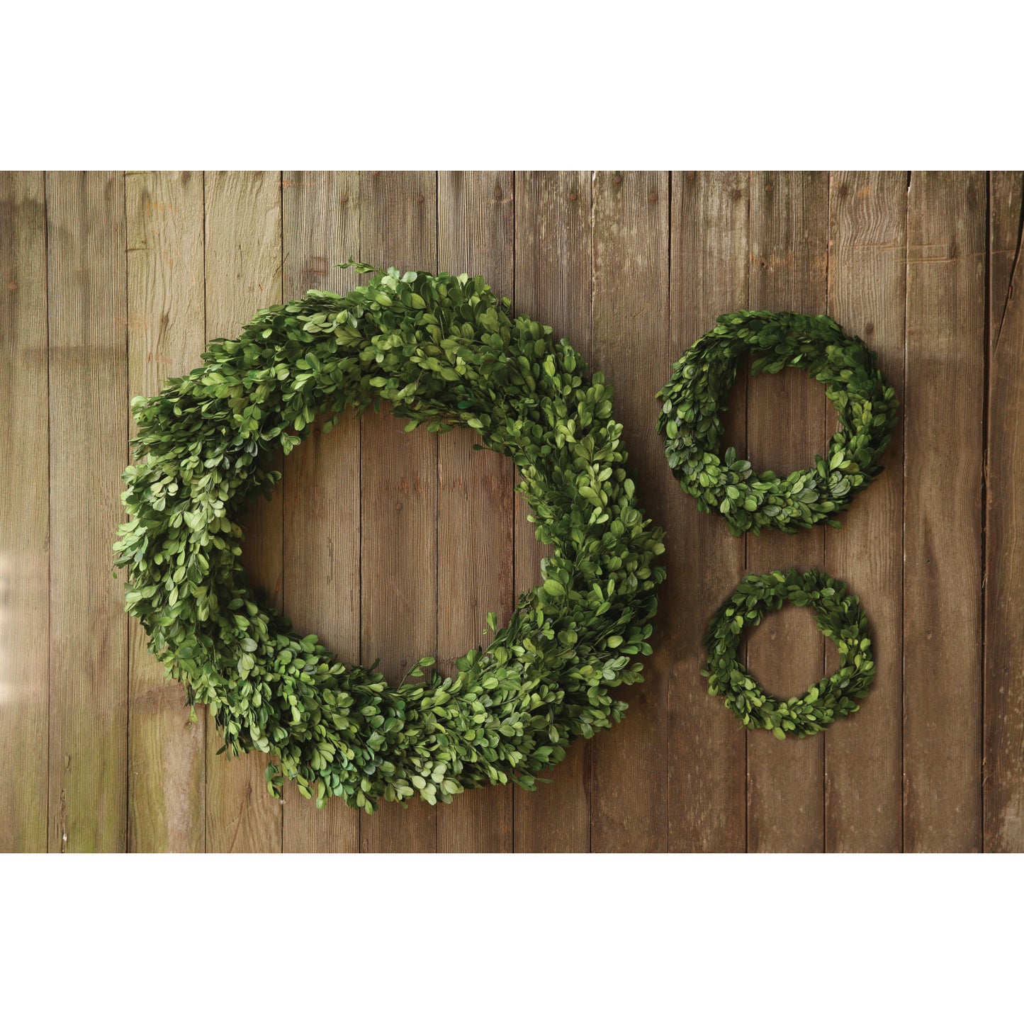 Small Preserved Boxwood Wreath