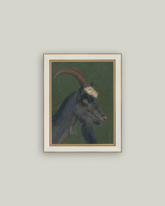 The Goat Framed Antique Art