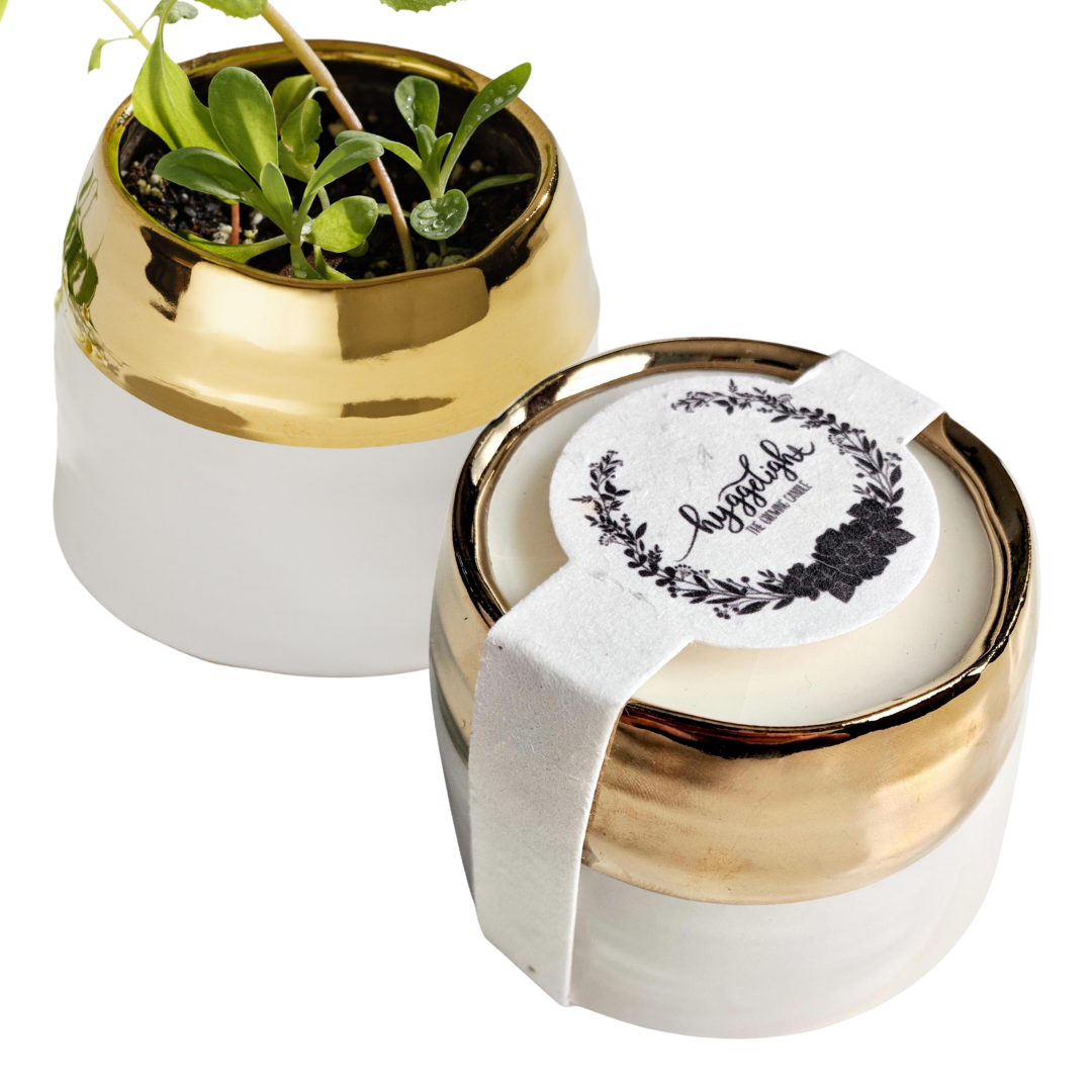 Clara | Growing Candle, flower seed-label, eco-friendly