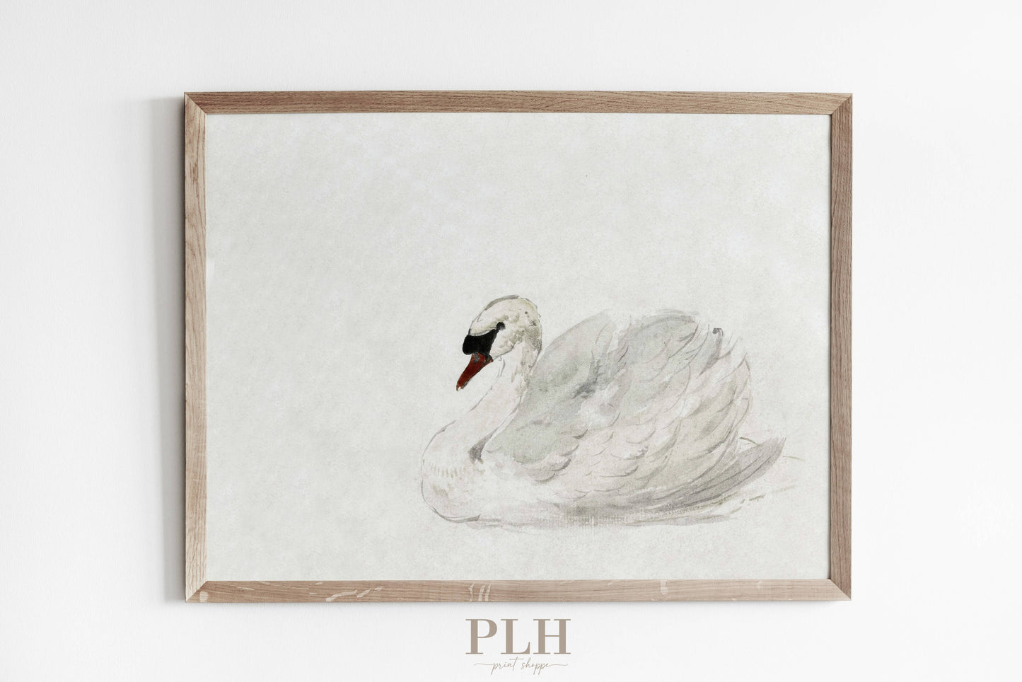 Vintage Swan Premium Quality Art Print (not framed)