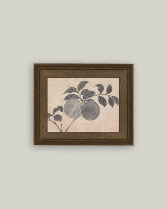 Branch of Fruit Bearing Tree Framed Antique Art