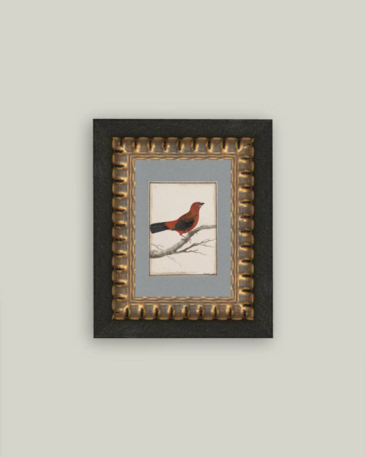 Red Bird Framed Antique Art