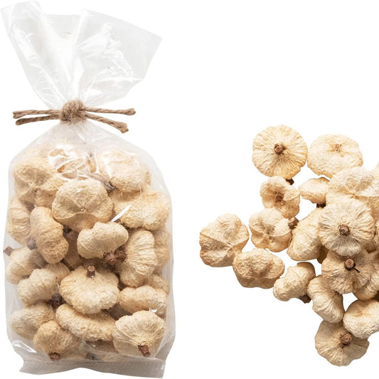 Bag of Dried Cream Pumpkin Seeds Decoration