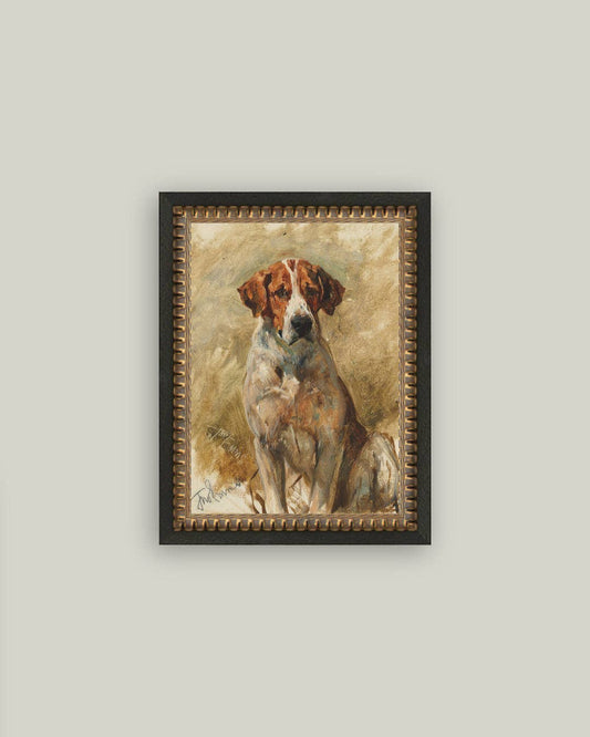 Study of a Hound Framed Antique Art