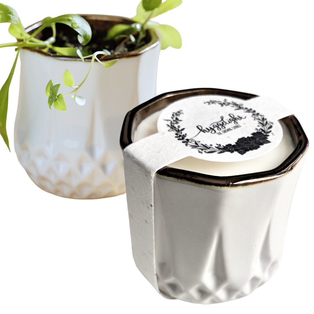 Astrid | Growing Candle, flower seed-label, eco-friendly