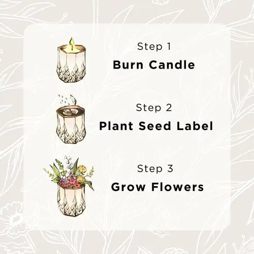 Clara | Growing Candle, flower seed-label, eco-friendly