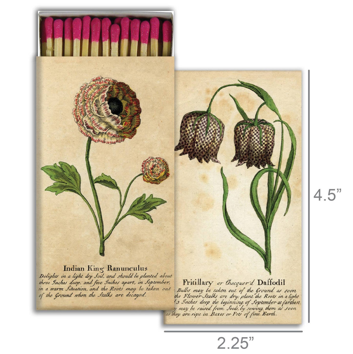 Matches - Ranunculus & Daffodill