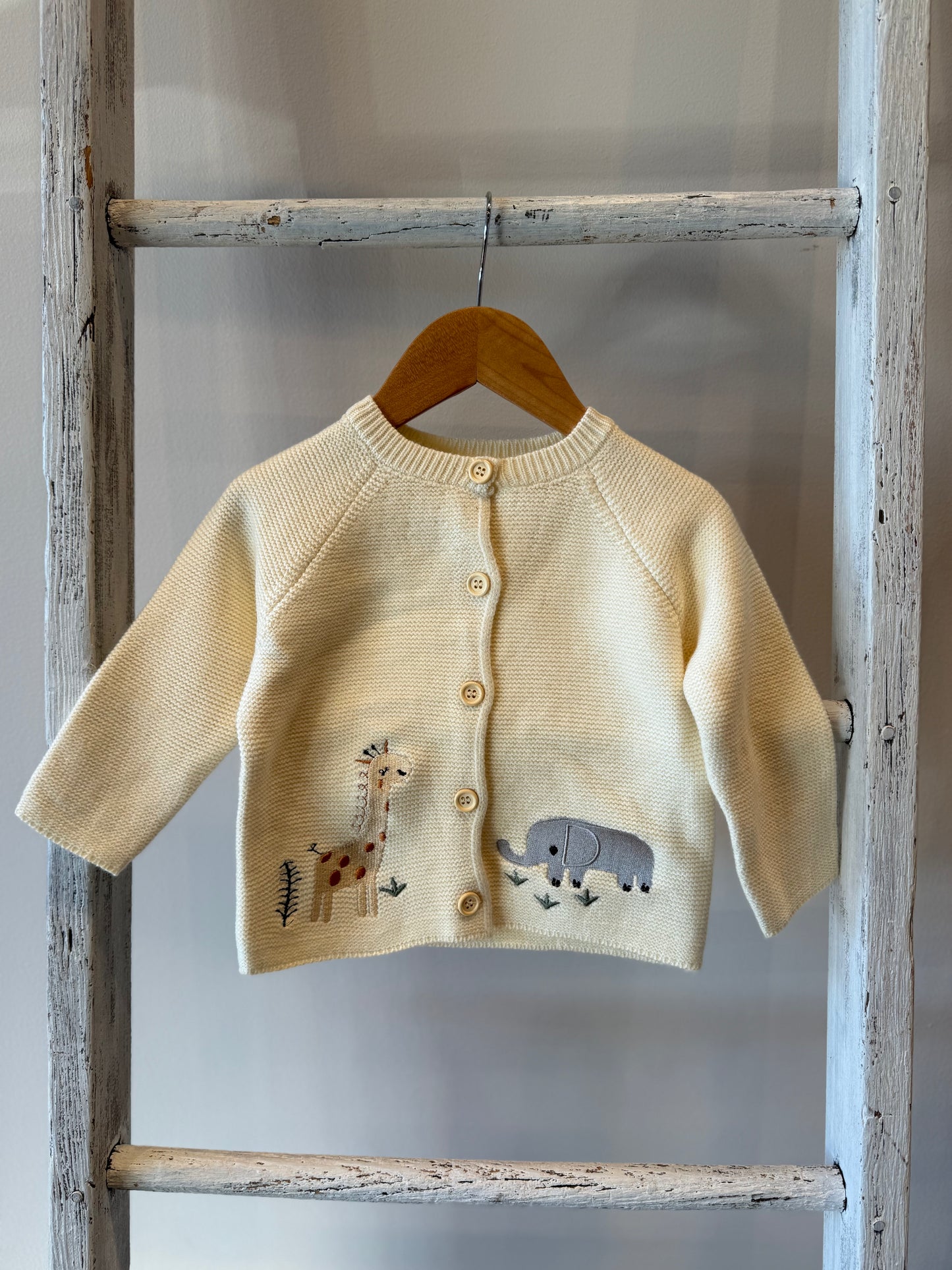 Button Up Cardigan Toddler Sweater