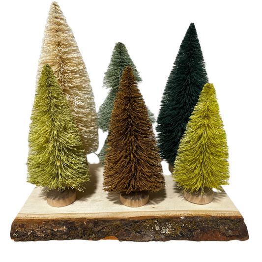 Sisal Bottle Brush Trees w/ Wood Bases, Boxed Set of 6