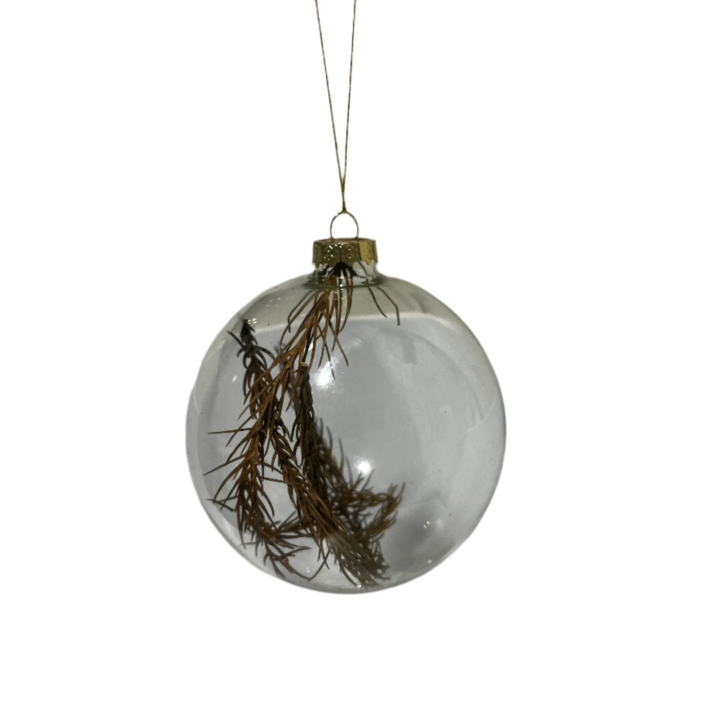Round Glass Ball Ornament w/ Dried Botanical