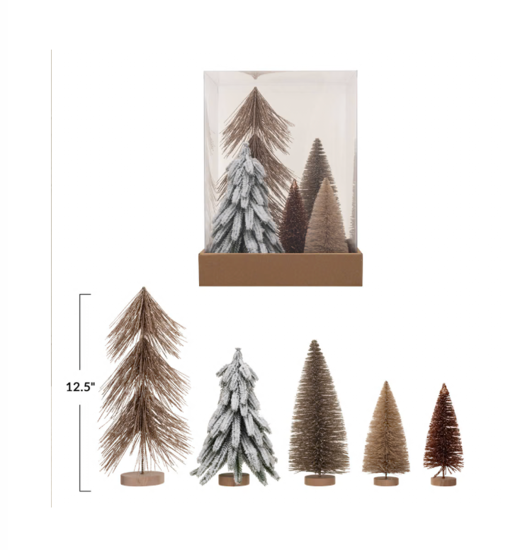 Sisal Bottle Brush Trees w/ Wood Bases, Boxed Set of 5