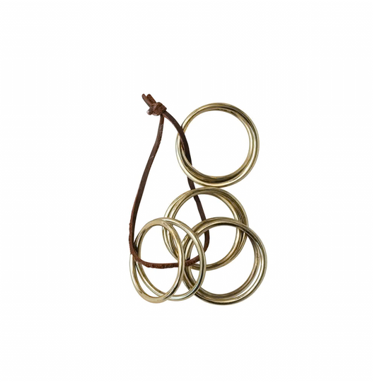 Three metallic rings on a leather cord against a white background