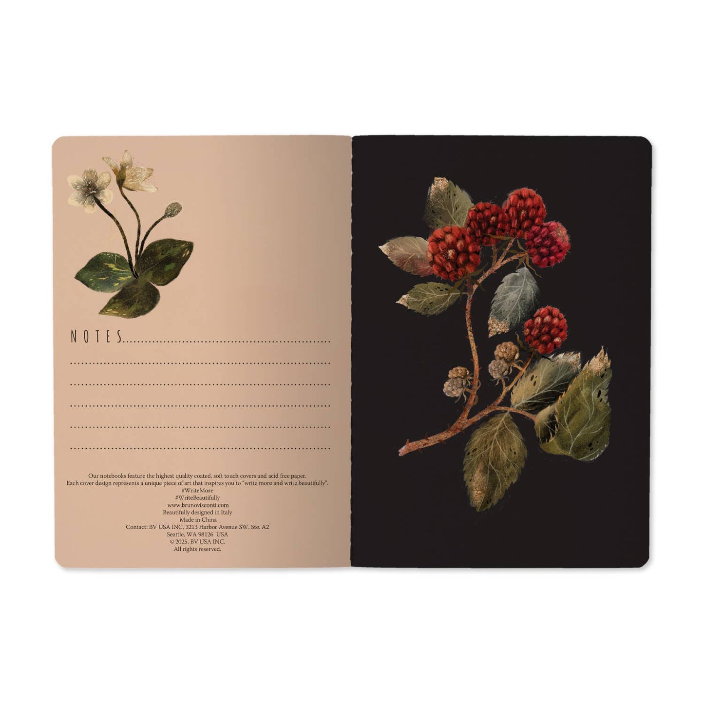  Forest Sparrows Notebook