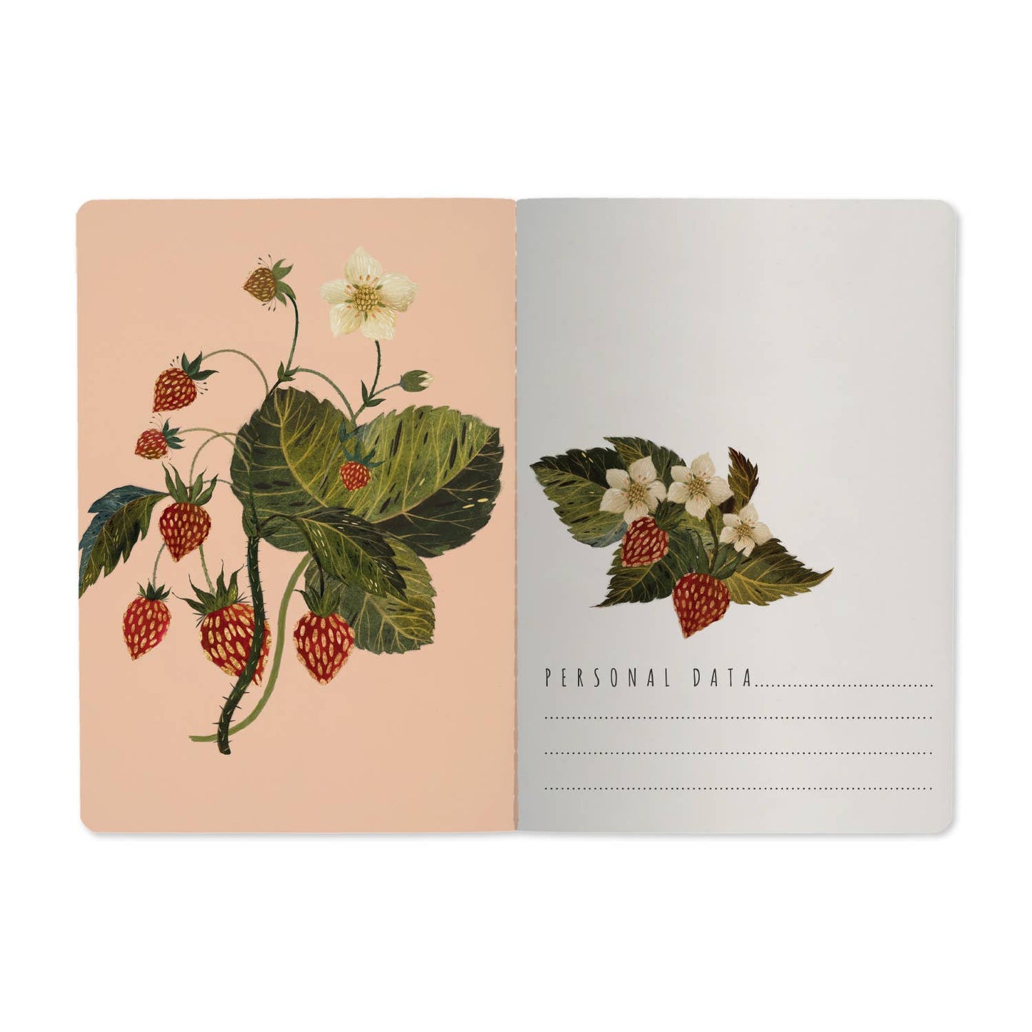 Wild Strawberry