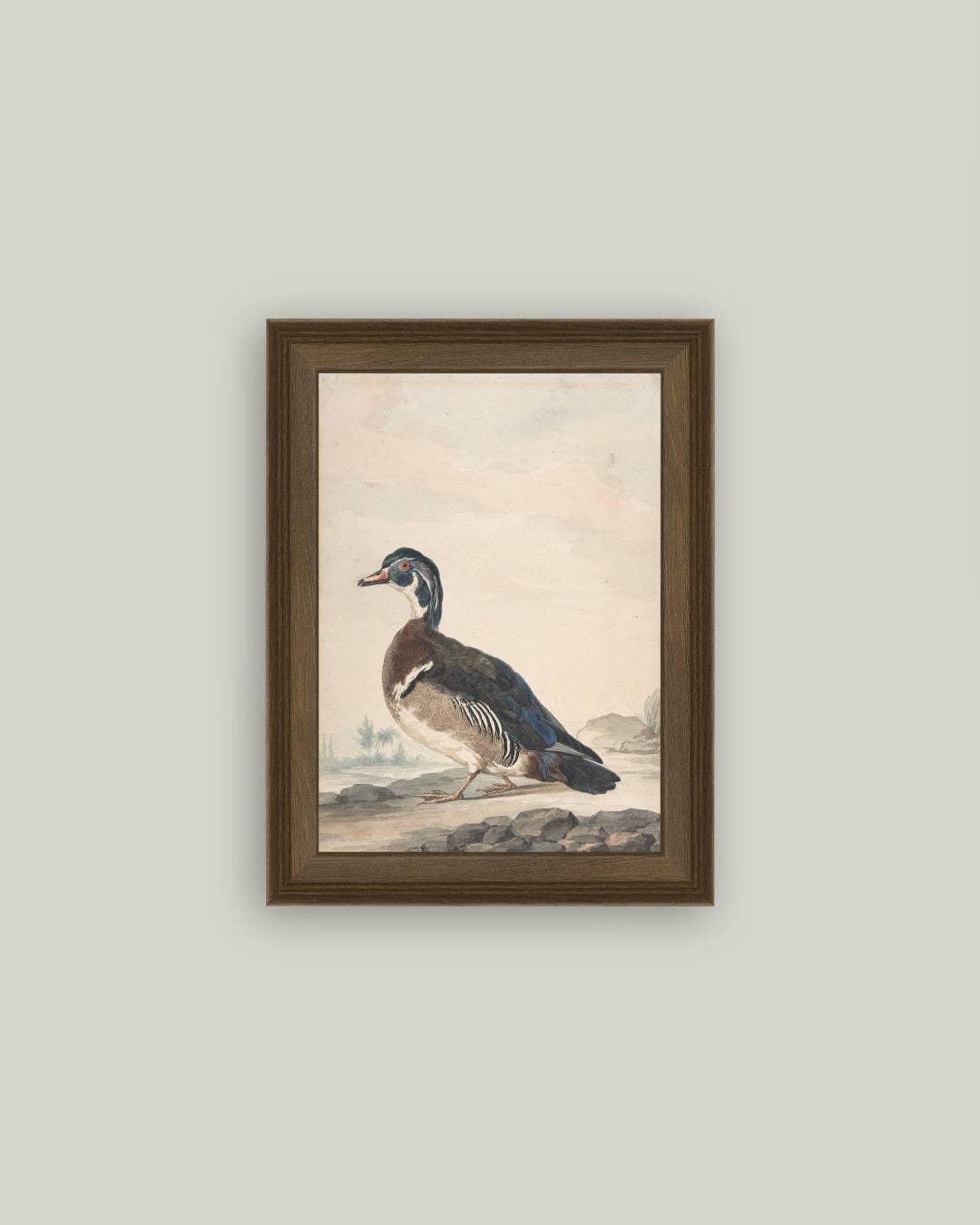 A Duck Framed Antique Art