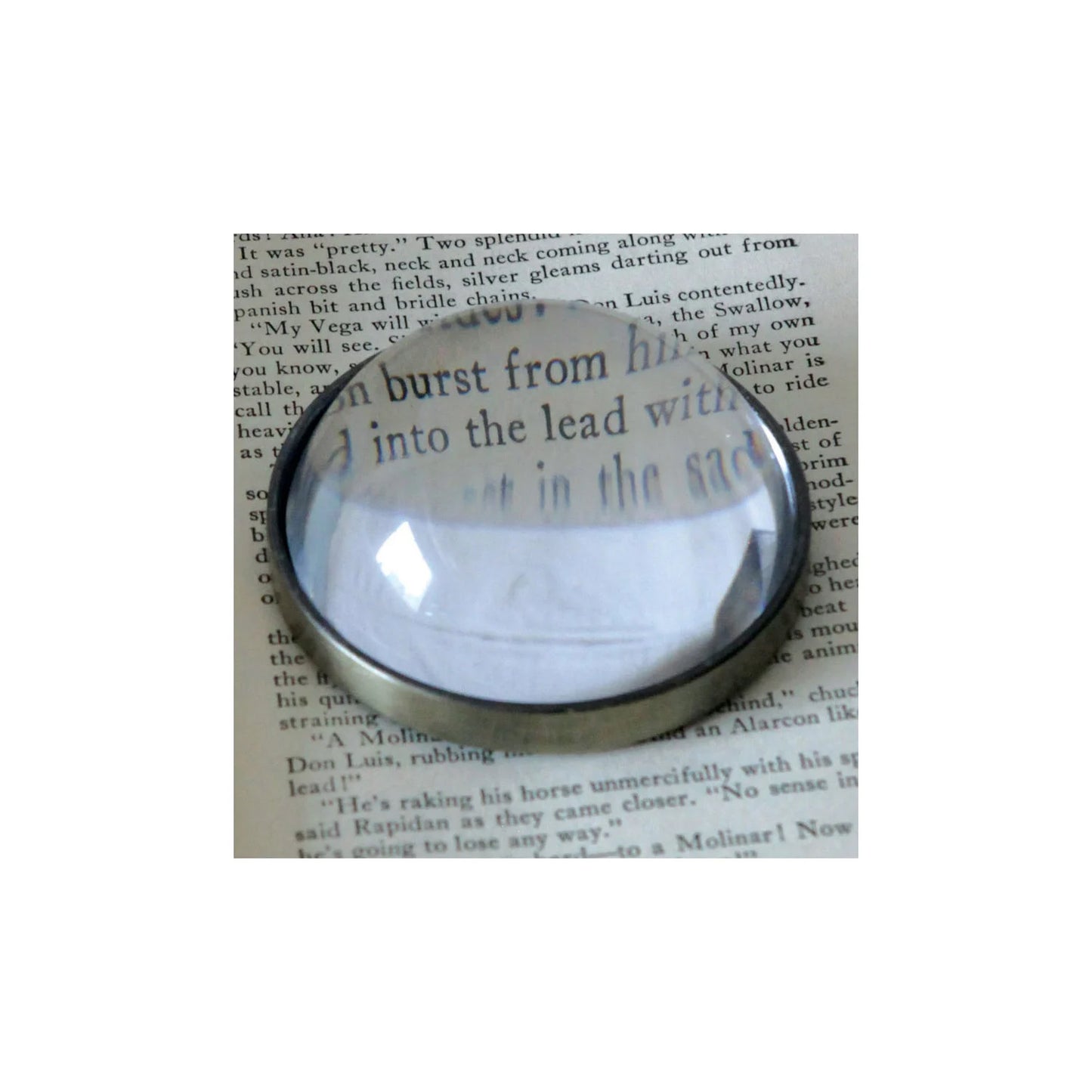 Paperweight/Magnifying Glass