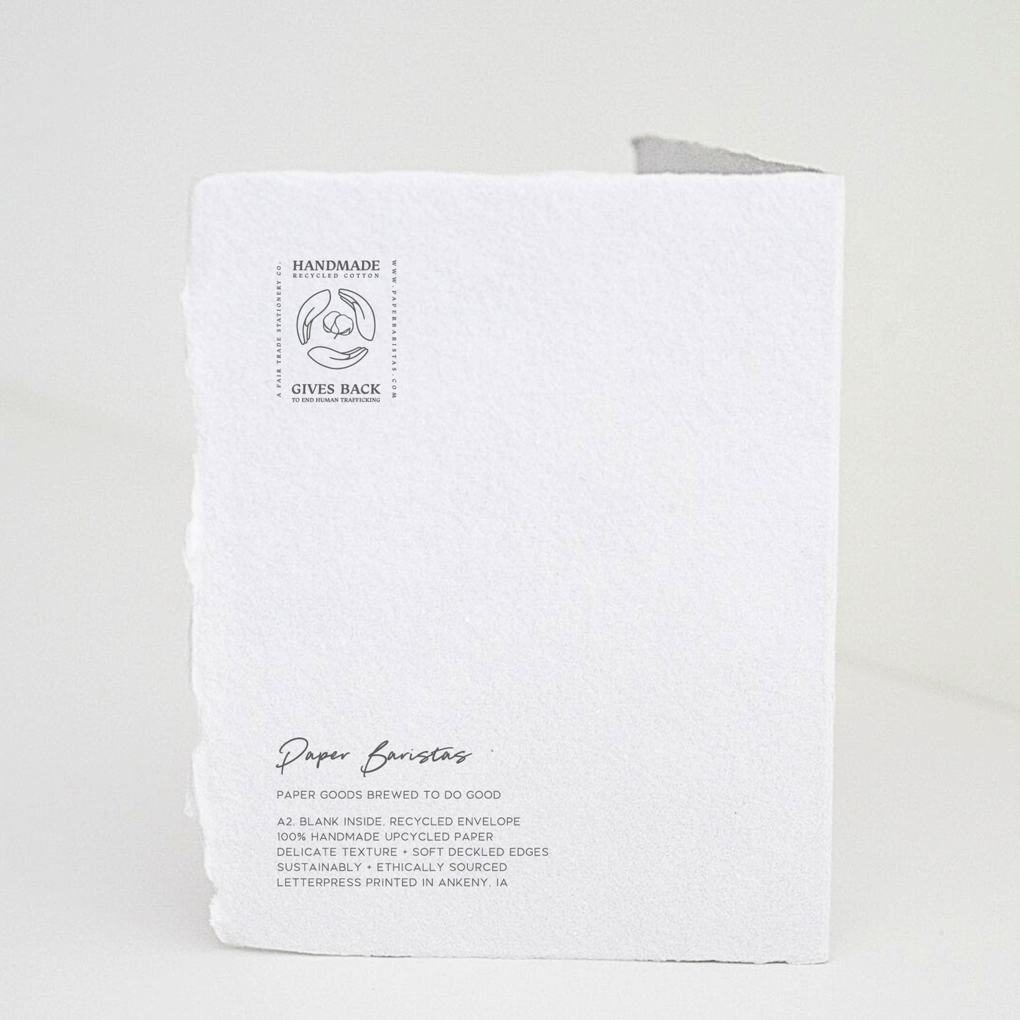 You're the Sprinkle | Friendship Birthday Greeting Card