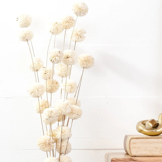 DRIED WHITE KADAM FLOWER